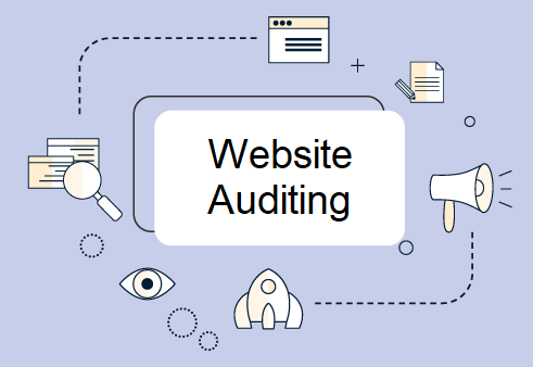 website auditing